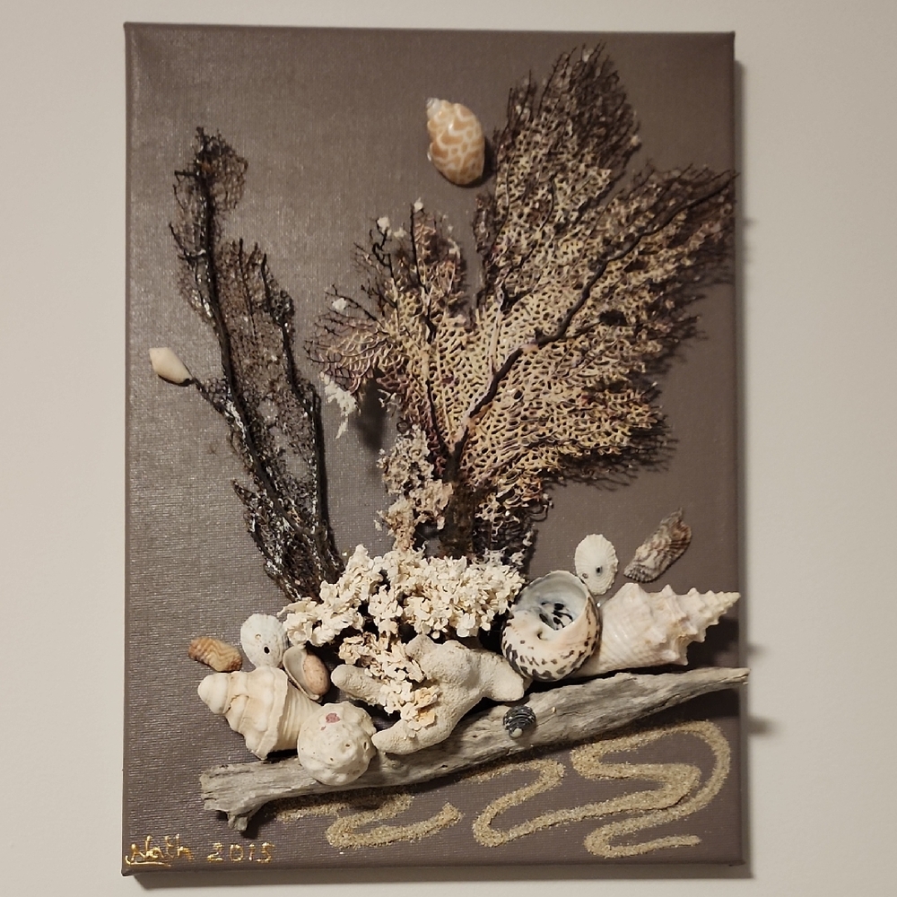 Seashell and Coral Canvas Art
